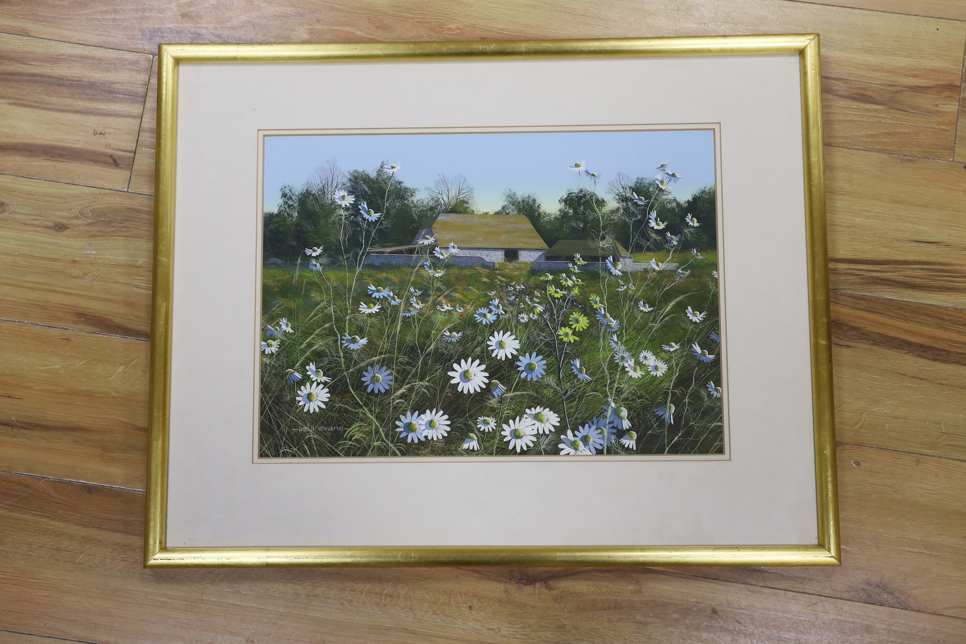 Paul Evans (b.1954), gouache, Daisies before barns, signed, 34 x 48cm